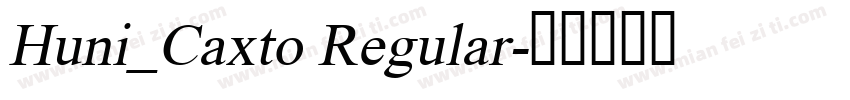 Huni_Caxto Regular字体转换